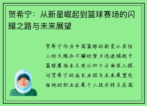 贺希宁：从新星崛起到篮球赛场的闪耀之路与未来展望