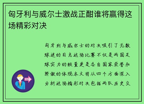 匈牙利与威尔士激战正酣谁将赢得这场精彩对决